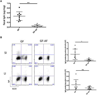 Dietary Antigens Induce Germinal Center Responses in Peyer's Patches and Antigen-Specific IgA Production